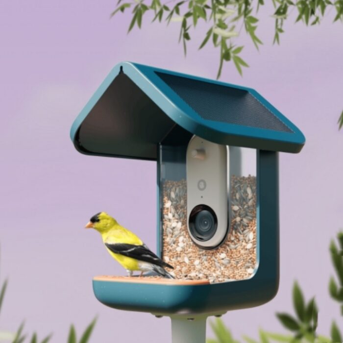 Smart Bird Feeder - Image 1