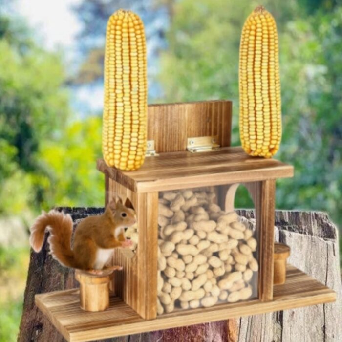 Squirrel Feeder - Image 1