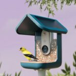 Smart Bird Feeder